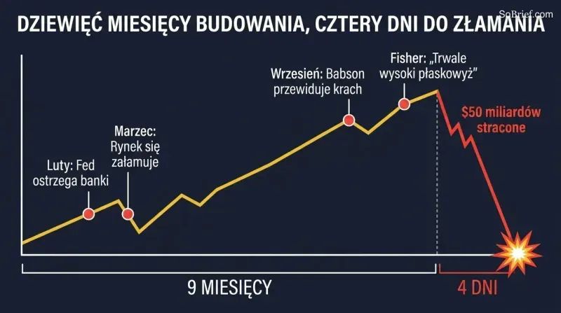 Stylized line chart showing a slow nine-month market rise with warning markers followed by a sudden vertical cliff drop over just four days.