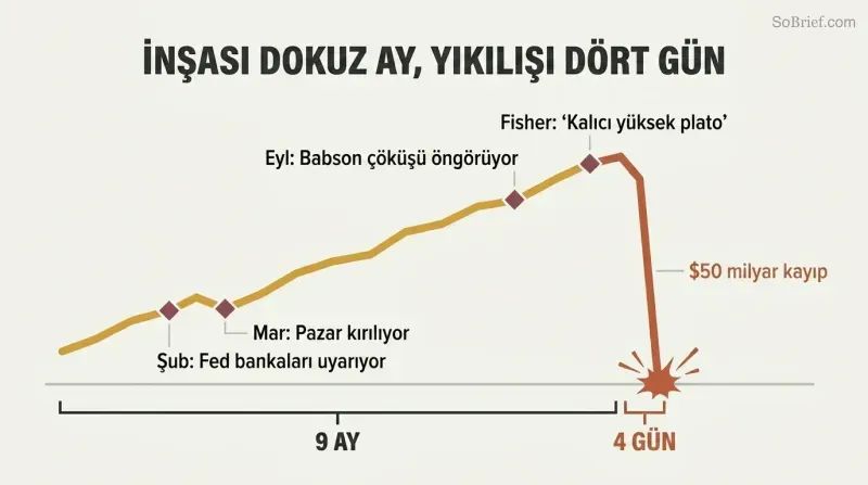 Stylized line chart showing a slow nine-month market rise with warning markers followed by a sudden vertical cliff drop over just four days.