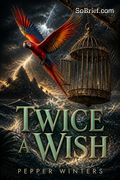 Twice a Wish