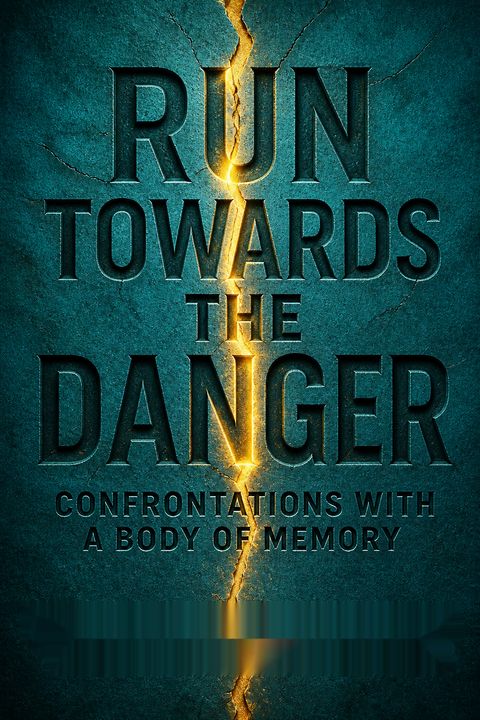 Run Towards the Danger by Sarah Polley