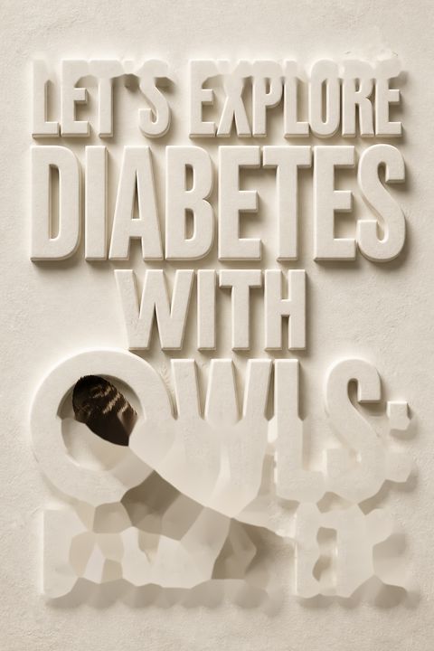 Let's Explore Diabetes with Owls by David Sedaris