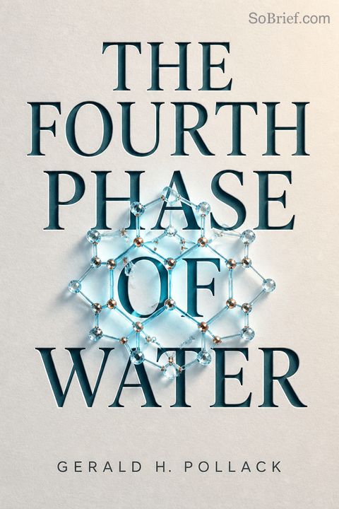 The Fourth Phase of Water
