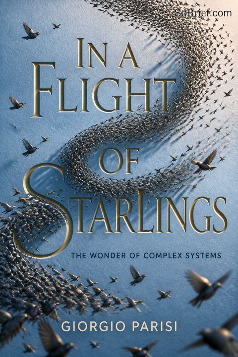 In a Flight of Starlings