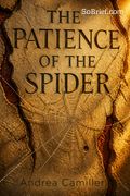 The Patience of the Spider