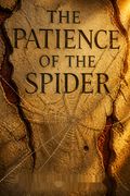 The Patience of the Spider