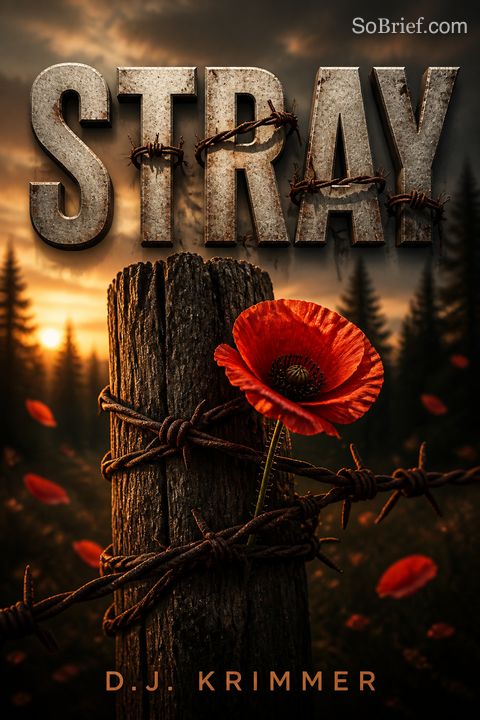 Stray