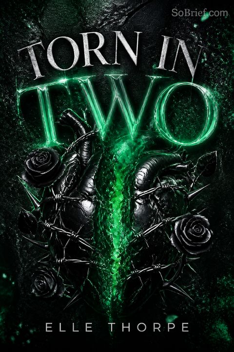 Torn In Two