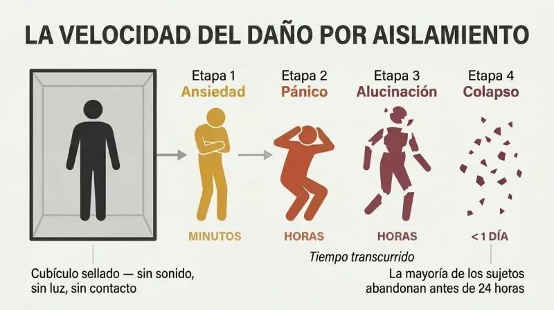 Timeline showing a human silhouette inside a sealed box progressively fragmenting through anxiety, panic, and hallucination stages in under one day.