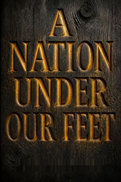A Nation Under Our Feet by Steven Hahn