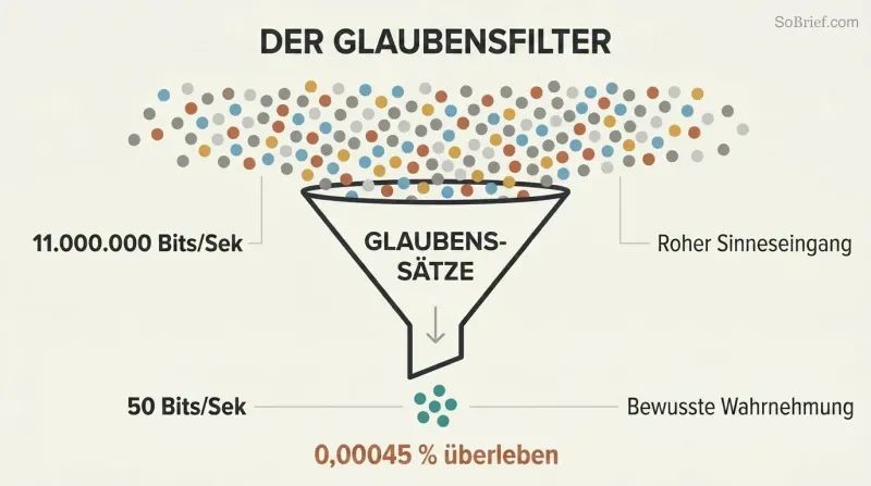 Funnel diagram showing 11 million bits of sensory data narrowing through a beliefs filter down to only 50 bits of conscious awareness.