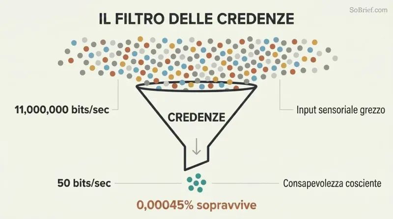 Funnel diagram showing 11 million bits of sensory data narrowing through a beliefs filter down to only 50 bits of conscious awareness.
