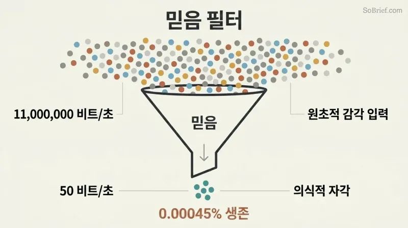 Funnel diagram showing 11 million bits of sensory data narrowing through a beliefs filter down to only 50 bits of conscious awareness.