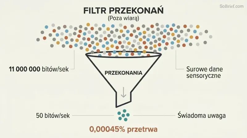 Funnel diagram showing 11 million bits of sensory data narrowing through a beliefs filter down to only 50 bits of conscious awareness.