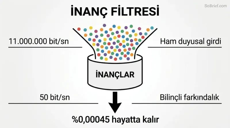 Funnel diagram showing 11 million bits of sensory data narrowing through a beliefs filter down to only 50 bits of conscious awareness.