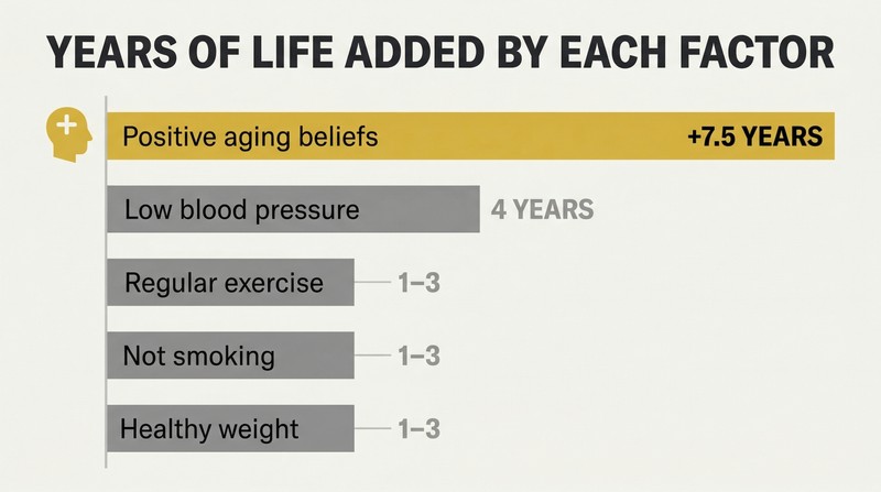 Horizontal bar chart showing positive aging beliefs adding 7.5 years of life, dwarfing exercise, not smoking, healthy weight, and low blood pressure.