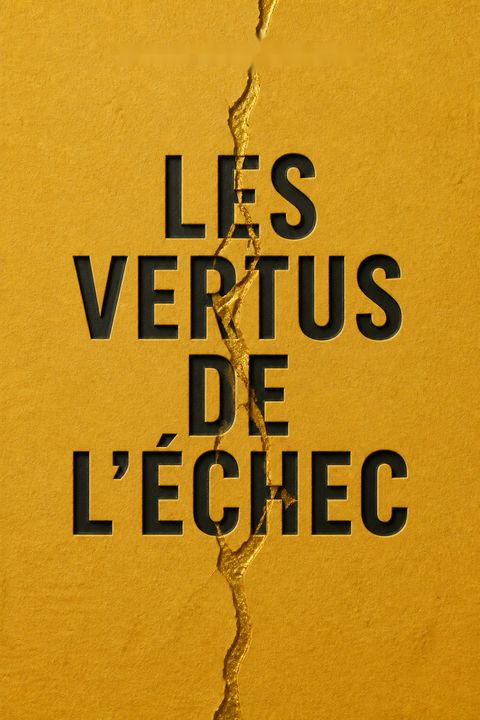 Les vertus de l'échec by Charles Pépin