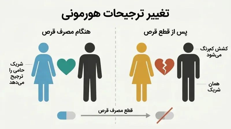 Split panel showing a woman attracted to the same partner while on the Pill but disconnected from him after stopping, illustrating how hormonal contraception alters mate preferences.