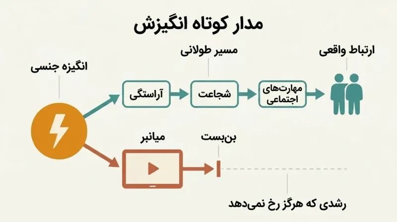 Fork diagram showing sexual drive splitting into a long productive path through self-improvement to real connection, versus a short-circuit through a screen to artificial reward that dead-ends.