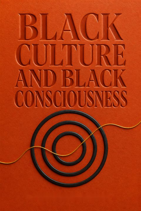 Black Culture &amp; Blk Conscious -30th Anniv (07) by Levine, the late Lawrence W [Paperback (2007)] by Lawrence W. Levine