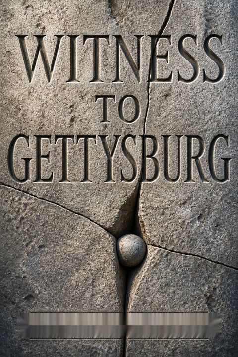 Witness to Gettysburg by Richard  Wheeler