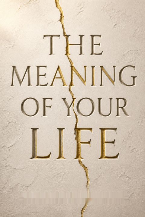 The Meaning of Your Life by Arthur C. Brooks