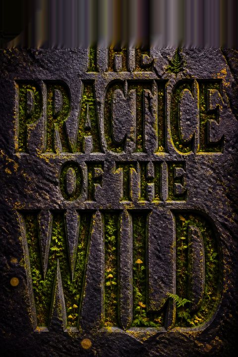The Practice of the Wild by Gary Snyder