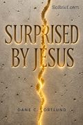 Surprised by Jesus