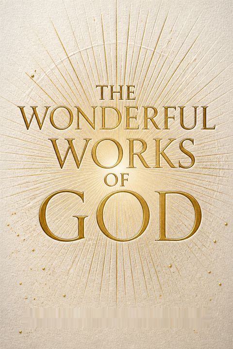 The Wonderful Works of God by Herman Bavinck