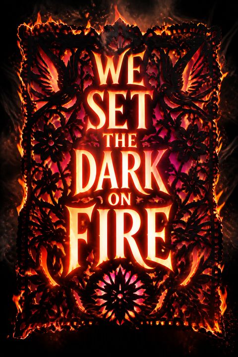 We Set the Dark on Fire by Tehlor Kay Mejia