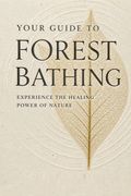Your Guide to Forest Bathing