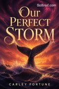 Our Perfect Storm