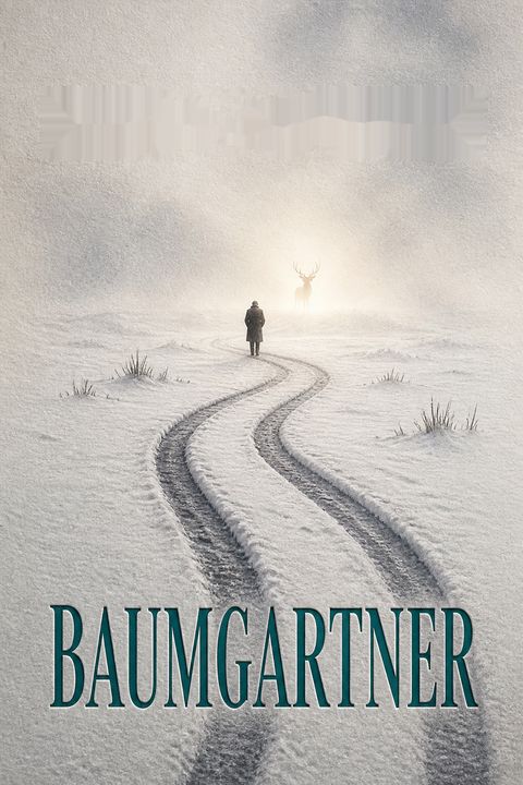 Baumgartner by Paul Auster