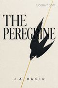 The Peregrine