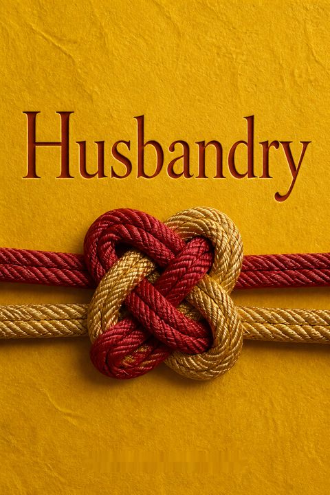 Husbandry by Stephen Fried