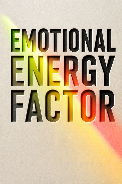 Emotional Energy Factor by Mira Kirshenbaum
