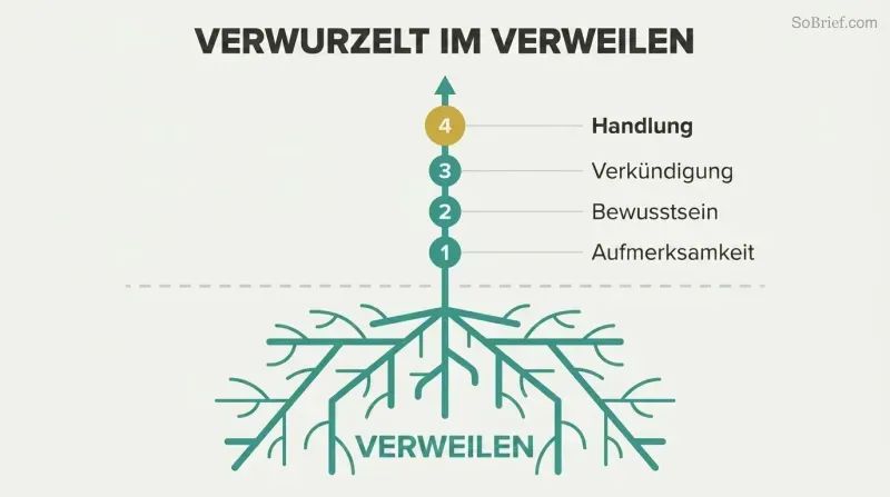 Plant with deep roots labeled Abide growing upward through four ascending stages: Attention, Awareness, Annunciation, and Action.