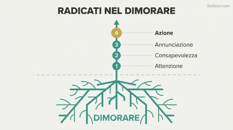 Plant with deep roots labeled Abide growing upward through four ascending stages: Attention, Awareness, Annunciation, and Action.