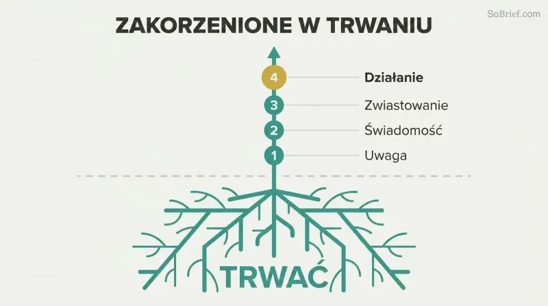 Plant with deep roots labeled Abide growing upward through four ascending stages: Attention, Awareness, Annunciation, and Action.