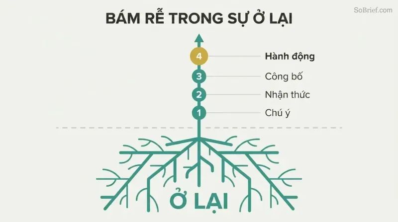 Plant with deep roots labeled Abide growing upward through four ascending stages: Attention, Awareness, Annunciation, and Action.