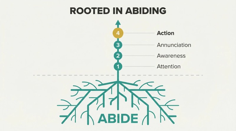 Plant with deep roots labeled Abide growing upward through four ascending stages: Attention, Awareness, Annunciation, and Action.