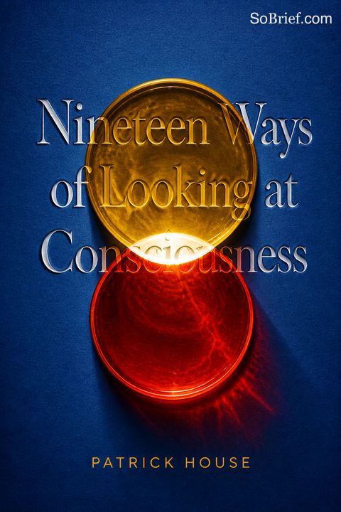 Nineteen Ways of Looking at Consciousness