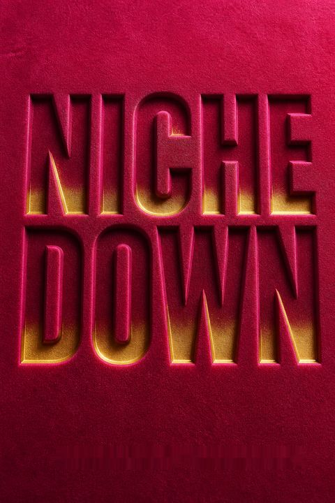 Niche Down by Christopher Lochhead