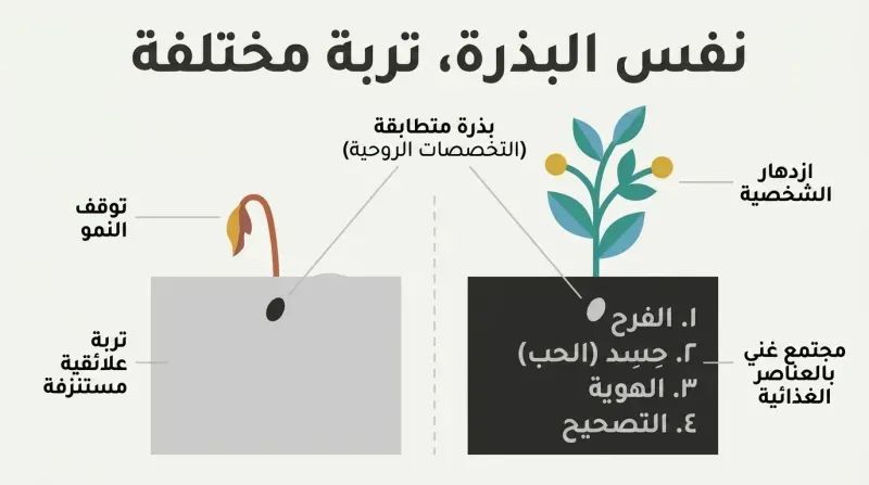 Split diagram showing identical seeds planted in depleted soil and nutrient-rich soil, where only the rich soil produces a flourishing plant.