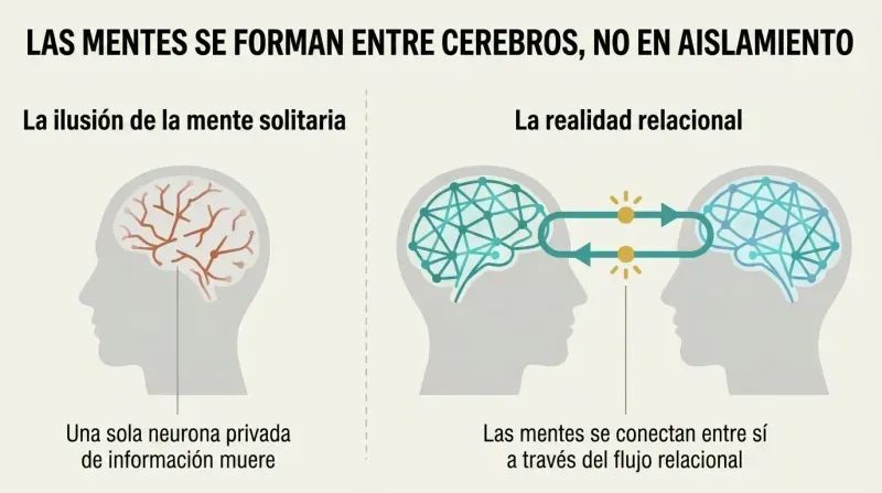Split panel diagram contrasting a withered, isolated brain on the left with two thriving, interconnected brains exchanging a loop of energy and information on the right.