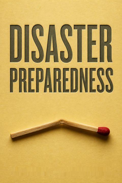 Disaster Preparedness by Heather Havrilesky