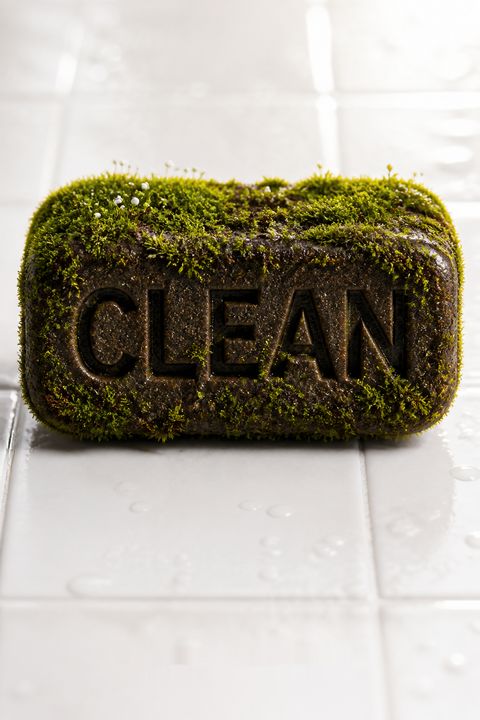 Clean by James Hamblin