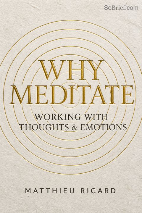 Why Meditate