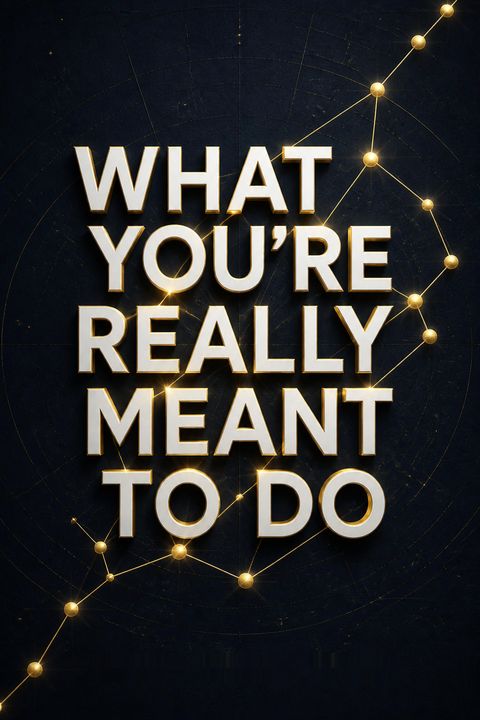What You're Really Meant To Do by Robert Steven Kaplan
