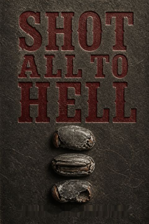 Shot All to Hell by Mark Lee Gardner