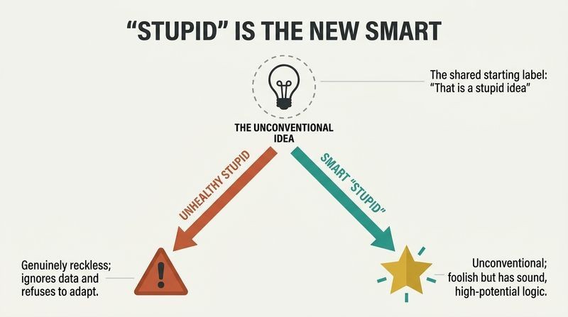 A fork diagram demonstrating how an unconventional idea initially labeled stupid can either lead to reckless failure or a high-potential breakthrough depending on logic and adaptability.